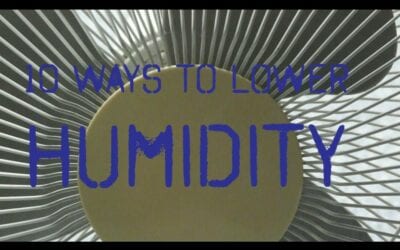 10 Ways to Lower Humidity